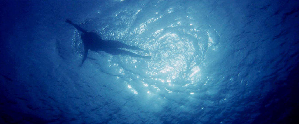 film analysis of jaws film analysis of jaws