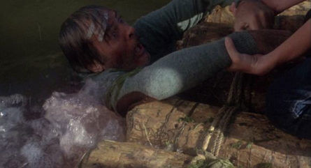 Piranhas essay 08 picture