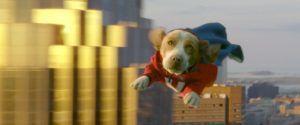 underdog