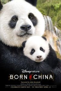 born in china poster