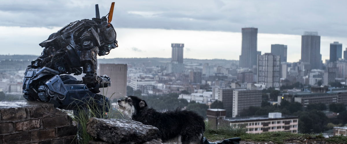 chappie