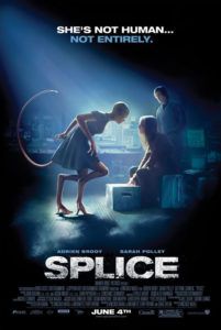 Splice