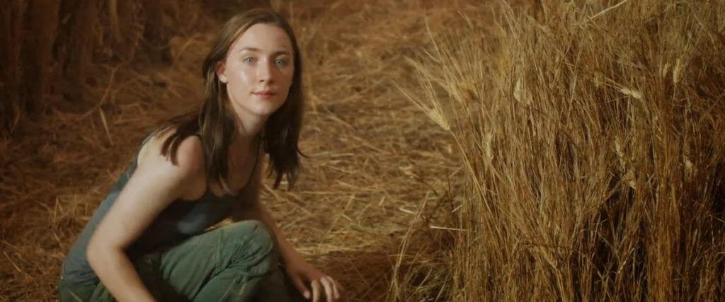 The Host