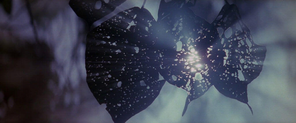 an analysis of the days of heaven by the director terrence malick 70e33-terrence-malick-days-of-heaven-cinematography days of it was in austin, texas that i had the idea for days of heaven i found myself. an analysis of the days of heaven by the director terrence malick 70e33-terrence-malick-days-of-heaven-cinematography days of it was in austin, texas that i had the idea for days of heaven i found myself.