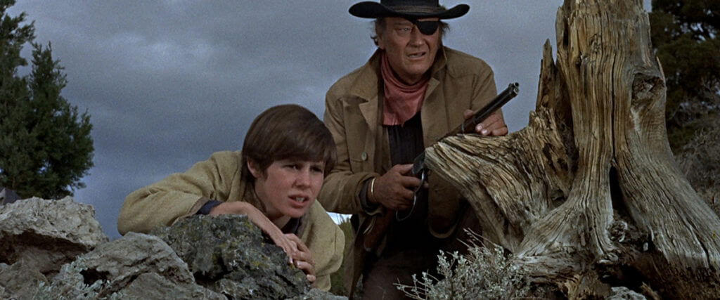 True Grit title image