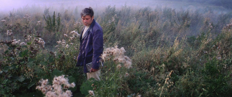 Solaris (1972) vs 2002 image