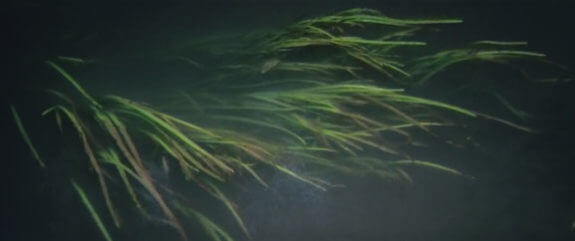 Solaris boring picture