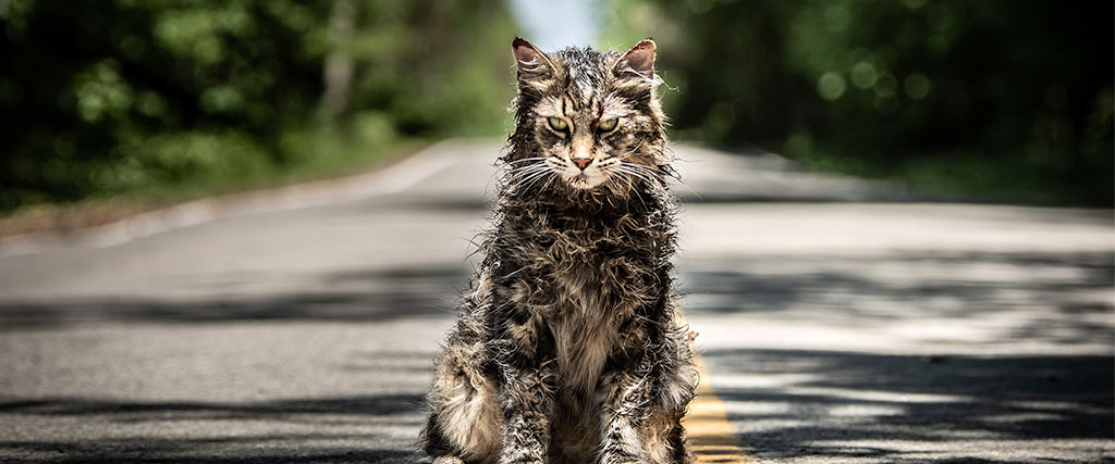 pet-sematary-2019-3