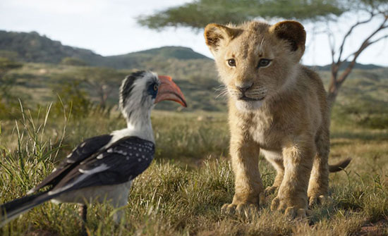 movie review essay the lion king