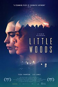 Little Woods poster