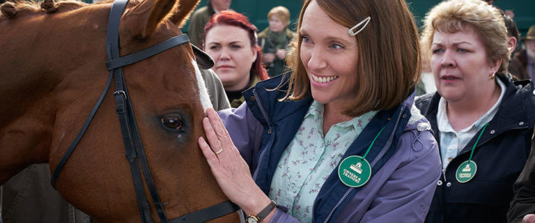 All the pretty horses questions picture