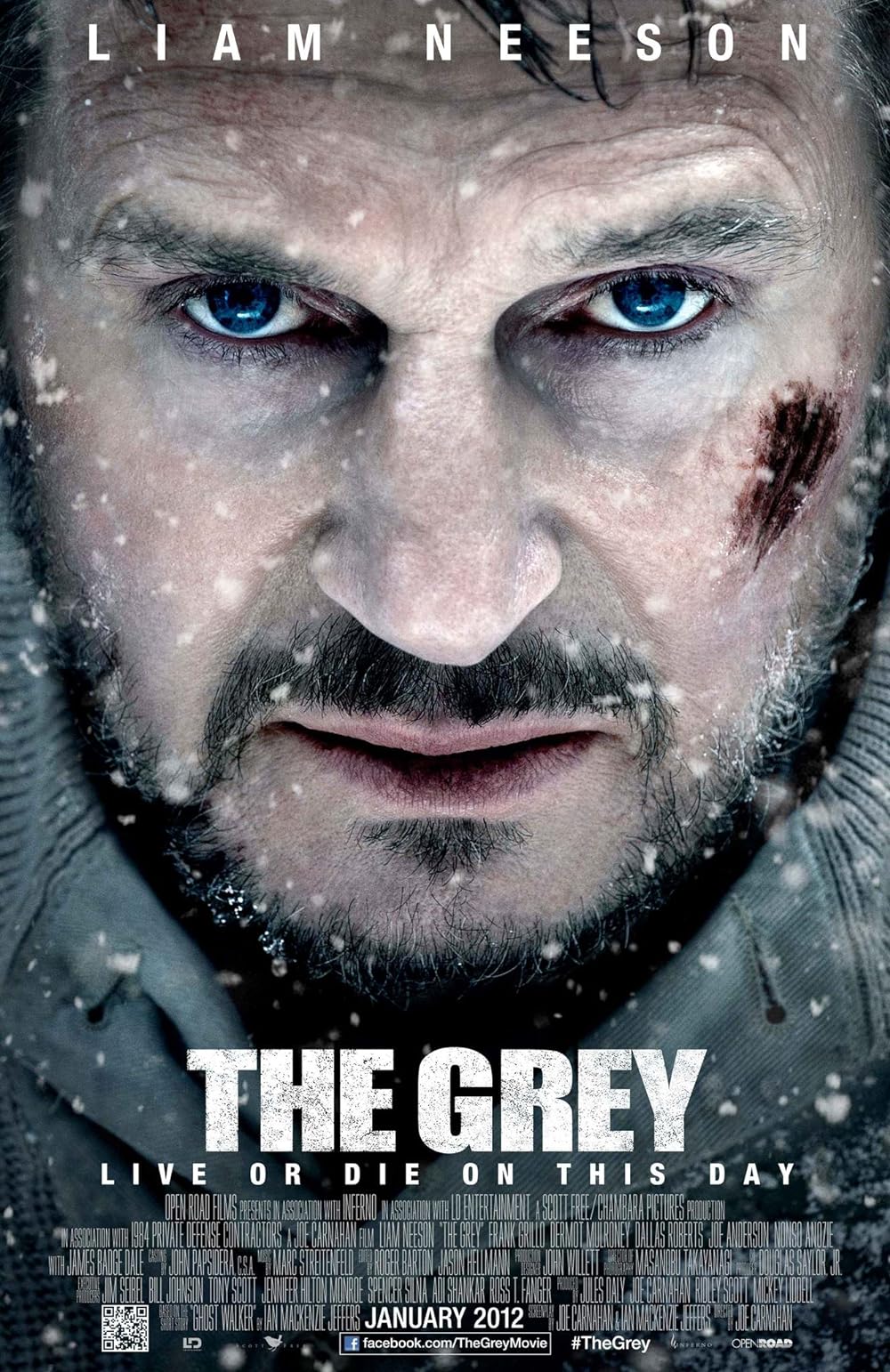 The Grey poster