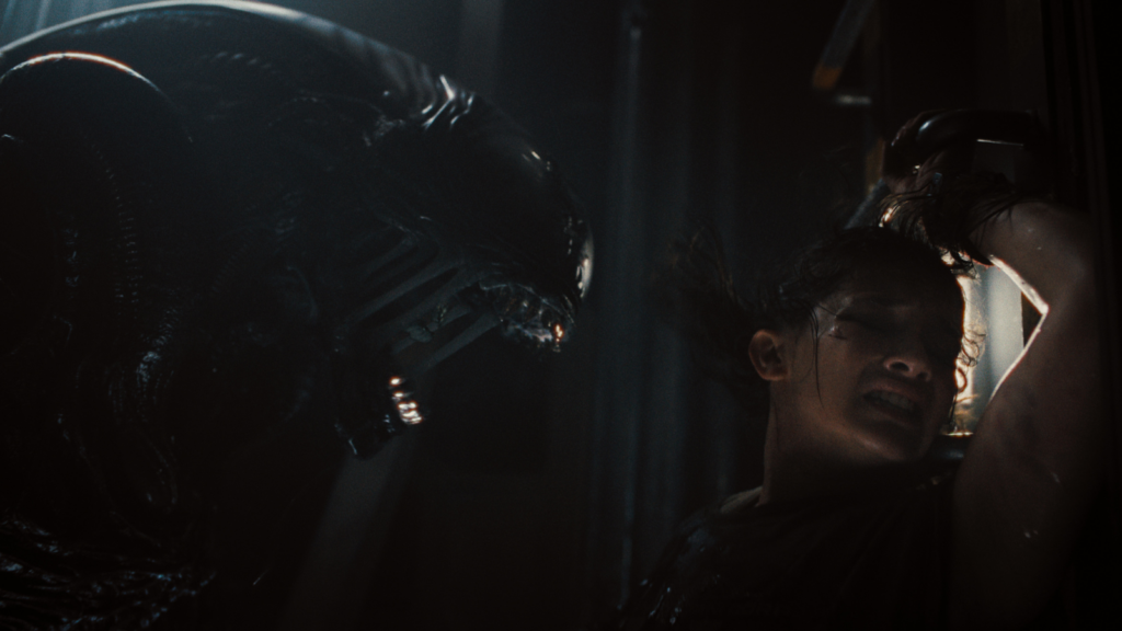 Alien: Romulus still