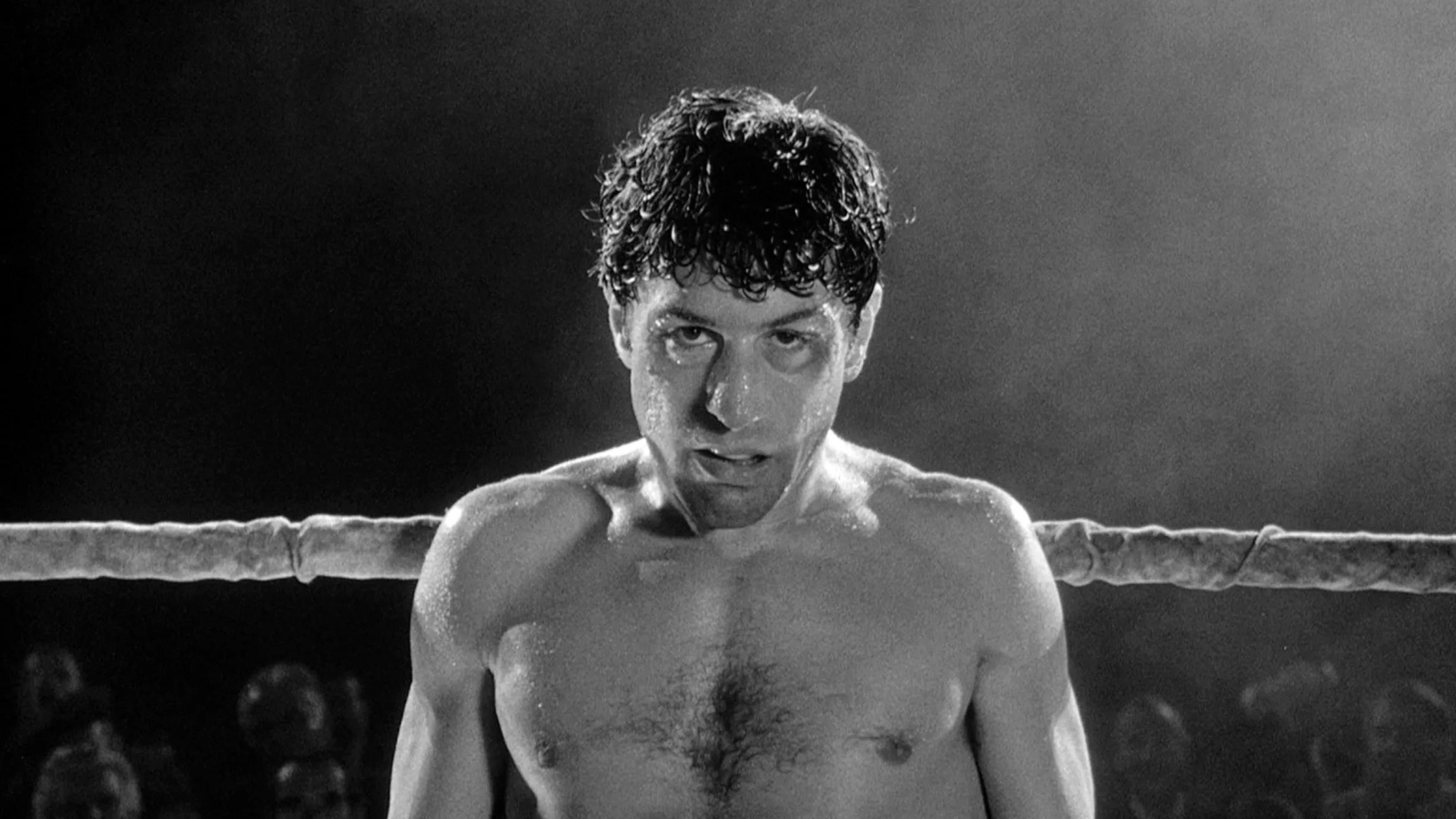 raging bull still