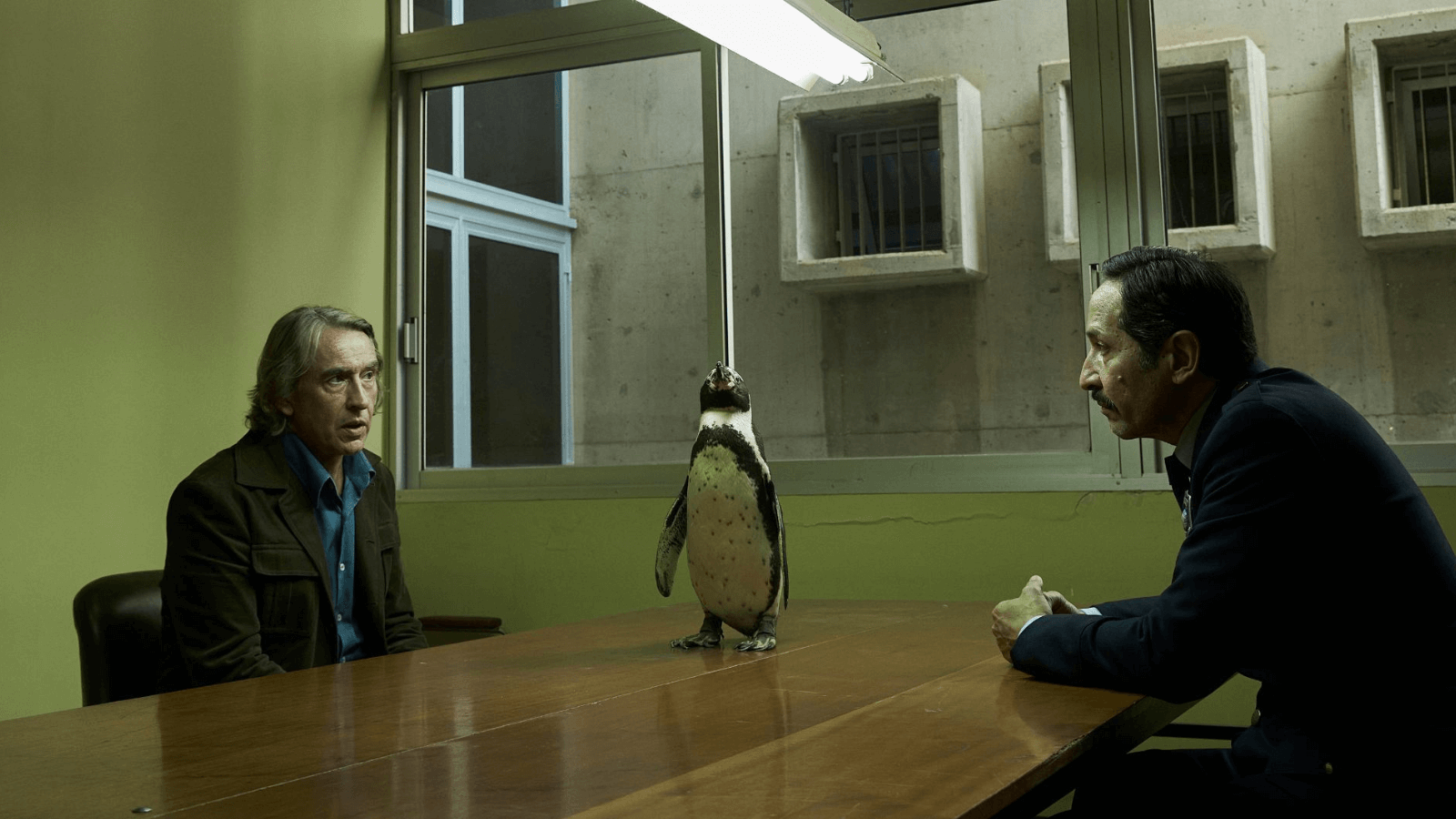 The Penguin Lessons still